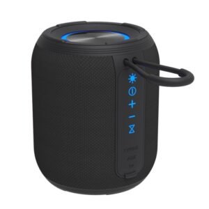 Intelligent voice heavy low speaker
