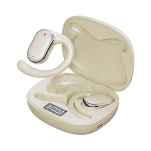 Wireless Bluetooth earphones